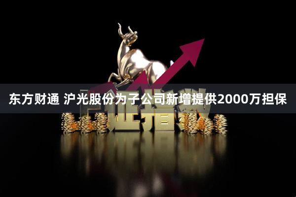 东方财通 沪光股份为子公司新增提供2000万担保