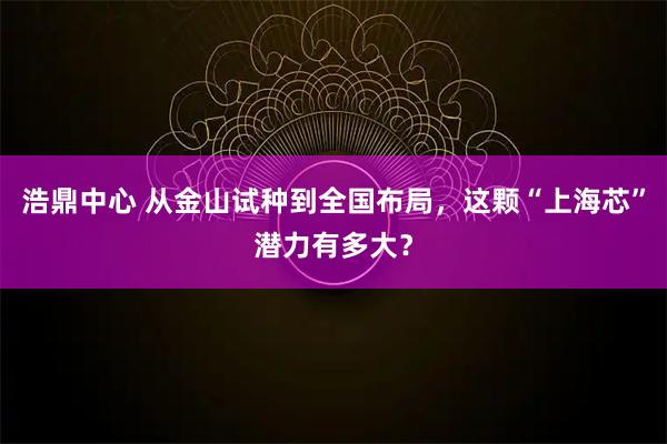 浩鼎中心 从金山试种到全国布局，这颗“上海芯”潜力有多大？