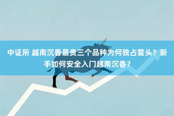 中证所 越南沉香最贵三个品种为何独占鳌头？新手如何安全入门越南沉香？