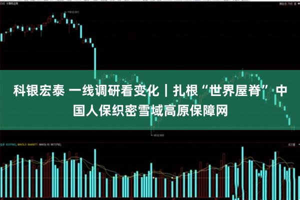 科银宏泰 一线调研看变化｜扎根“世界屋脊” 中国人保织密雪域高原保障网