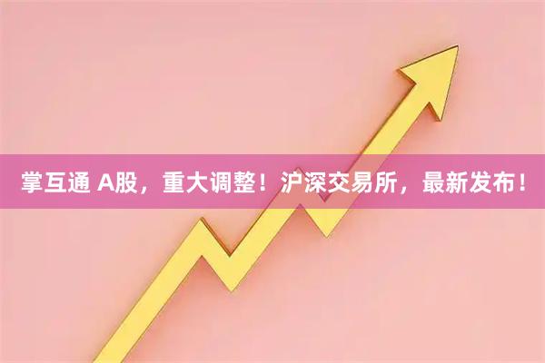 掌互通 A股，重大调整！沪深交易所，最新发布！